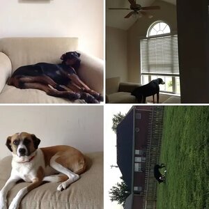 My Babies