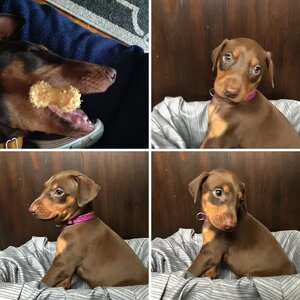 Random Photos