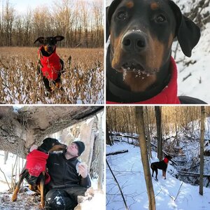 Pics of Kato