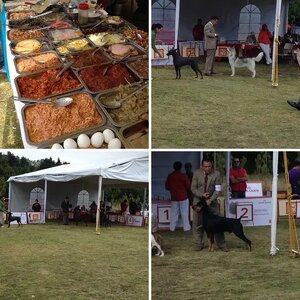 Dog show in Mexico
