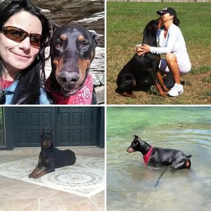 Gunner Von Hoytt  (2004-2014)
