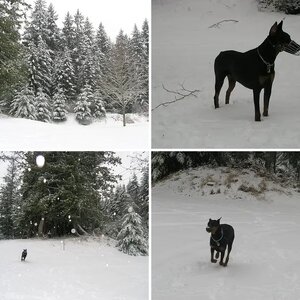 Gunnar's Fourth Winter