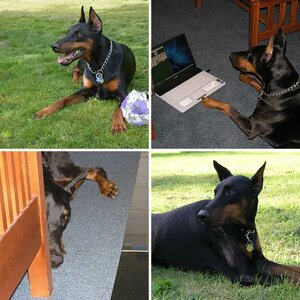 Gunnar (Miscellaneous Shots)