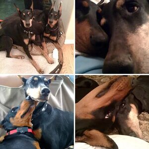 Juno and Sula