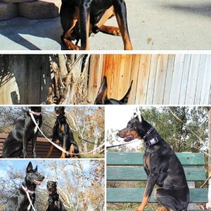 Ares