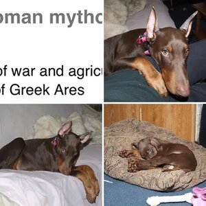 Lord Mars Blitzkrieg