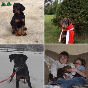 Media Of The Month Feb/2016