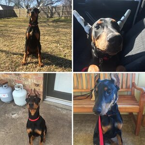 Jax 5 months
