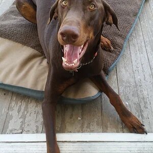 Ares