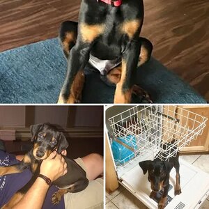 My Zeus