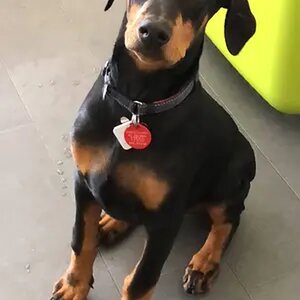 Charlie