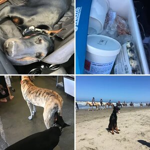 Beach Day