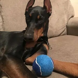 BABY ACE!