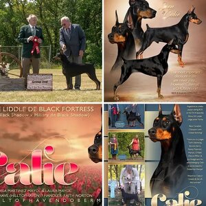 RBIS Calie Liddle de Black Fortress