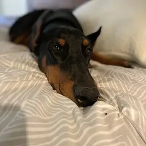 My Sleepy Bella