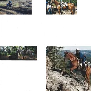 Endurance