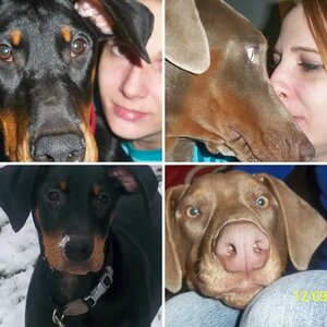 My Stubwaggers
