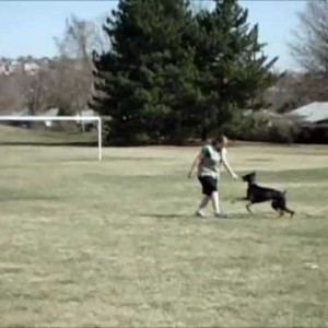River Obedience Training St Patrick's Day 2012