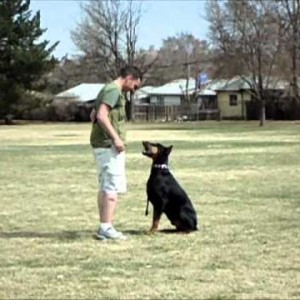 Spock Obedience Training St Patrick's Day 2012