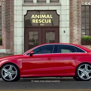 Audi 2014 Big Game Commercial - Doberhuahua