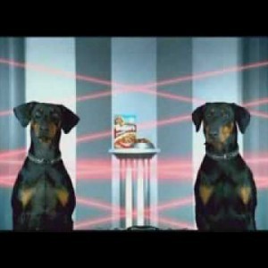 Bakers Complete Heist - Doberman video
