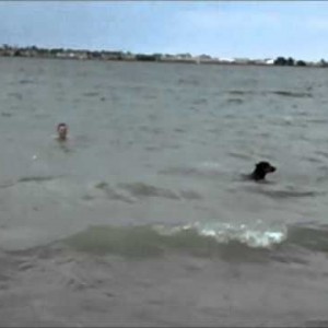 He'll do anything for a tennis ball