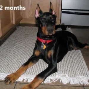 Spock's 1st year