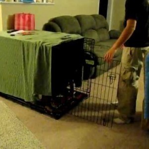 Spock's bedtime routine