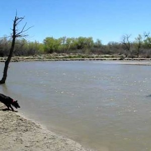 Spock decides water is okay