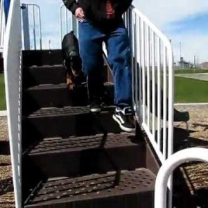 Spock conquers the stairs!