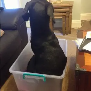 Its a little uncomfortable!!
