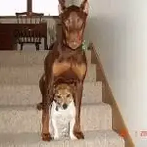 Quite the pair!