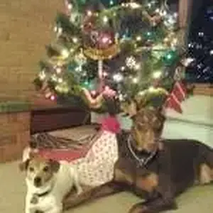 Kali and Diesel