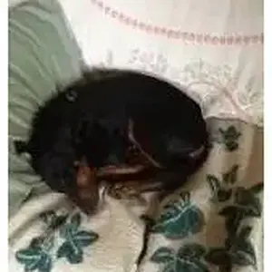 Hmm