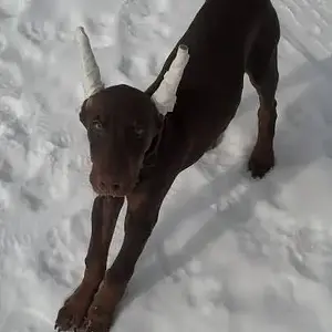 Strettchhh!! 11 Wks