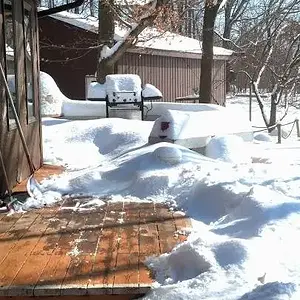 Snow is taller than Ernie!