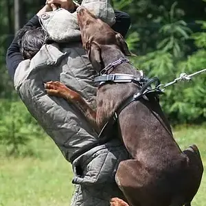 Agbar