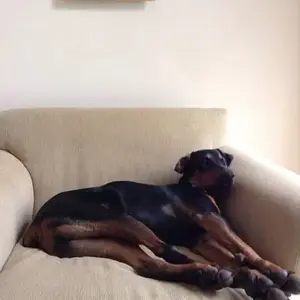 Jax