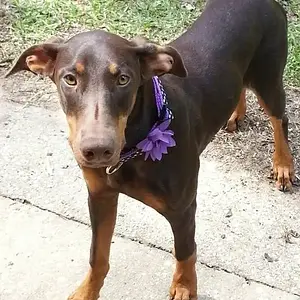 Love that face!