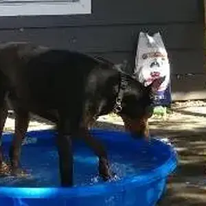 pool time