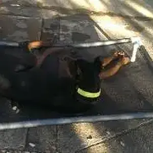 relaxing