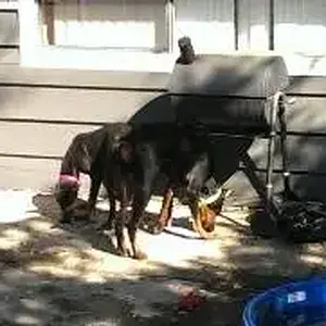 play time