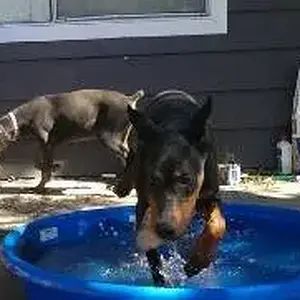 play time