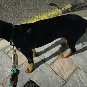 To the beach!