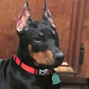 Post out first time 14wks