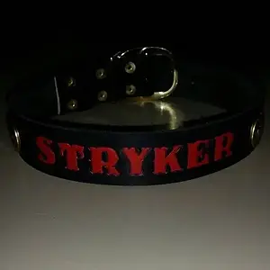 Awesome collar!