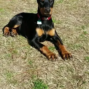 Pretty girl