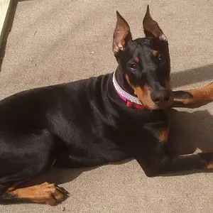 Almost 5 Months Old!!!