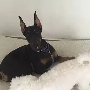 After first successful home posting