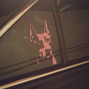 her spot in back seat